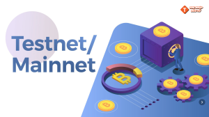 mainnet và testnet là gì