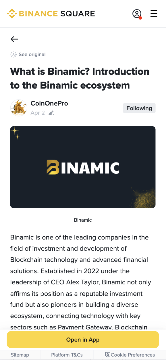binance-binamic-light
